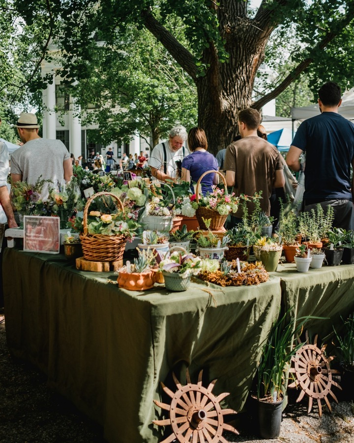 Shoppers browsing an outdoor market table